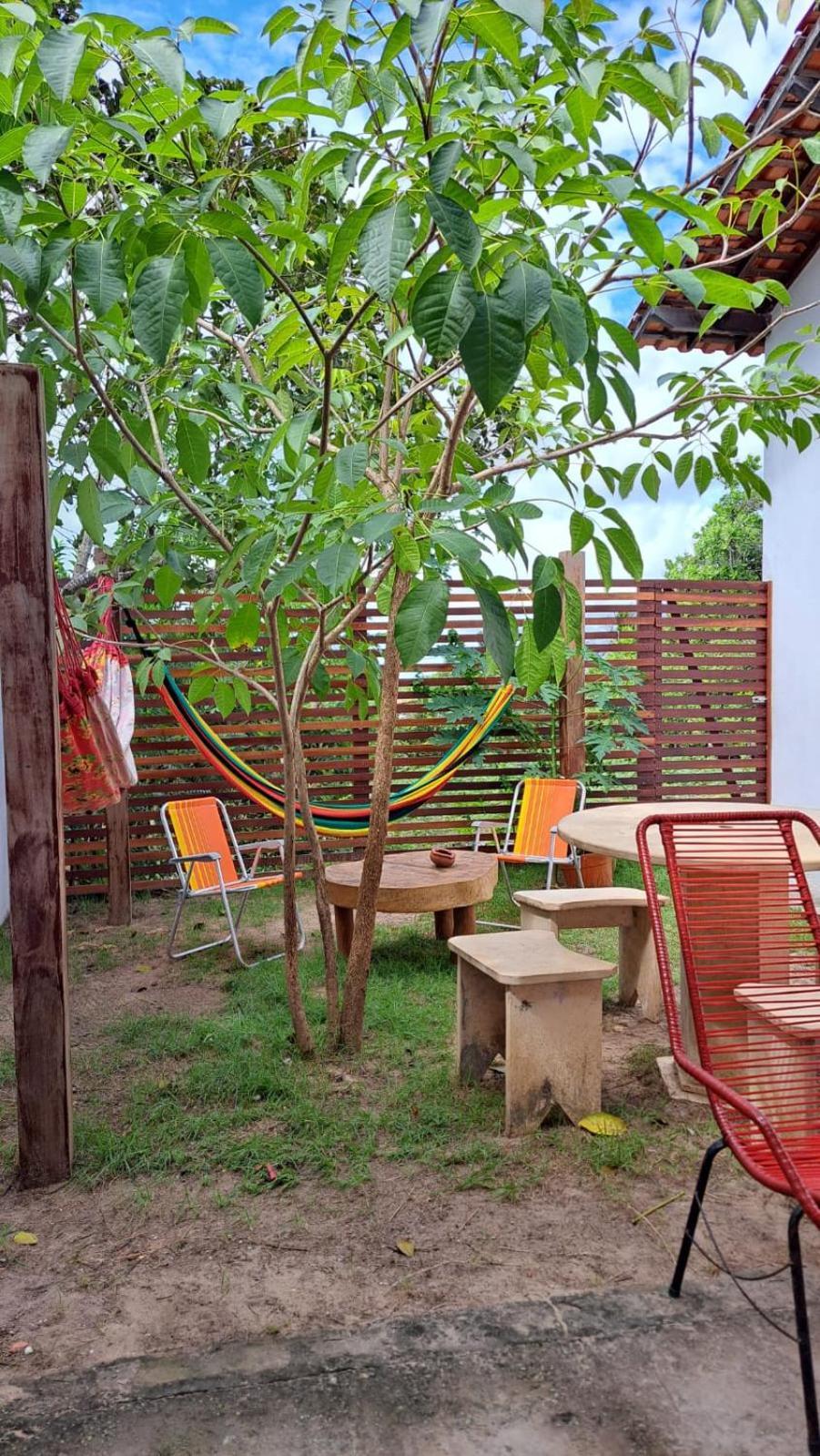 Flor De Ipe Barreirinhas